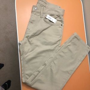 NWT -perfect condition!